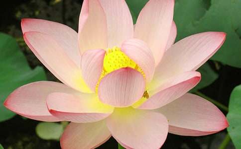 ������ɻ�����300��15ƪ���Ƽ���