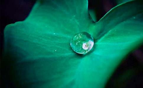 �йء���ҶԲԲ���̰�ģ��ϼ���ƪ