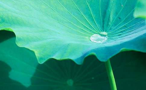 �йء���ҶԲԲ���̰�������ƪ