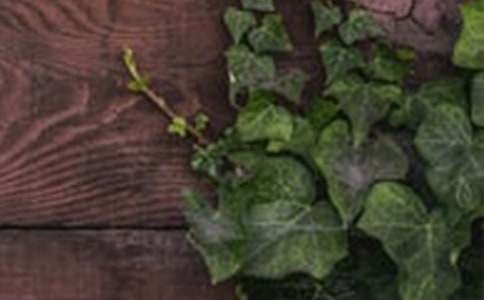 ��г����500��