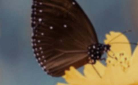 ��ʵ�á�׽����������400��