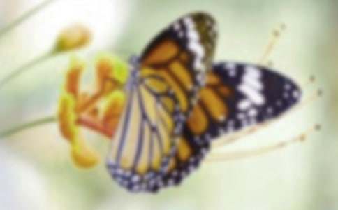 ������ֲ������15ƪ�����㡿