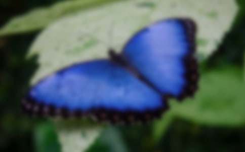 [�ر�]������ֲ������