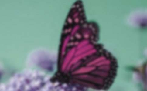 ������������300��