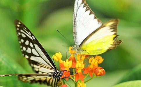 �����ĺ����̰�15ƪ