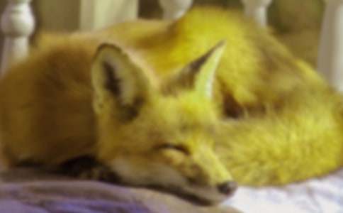 ���˲���ĺ���ְ֡������(���15ƪ)