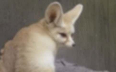 ����ѡ�����������ѻ���̰�3ƪ