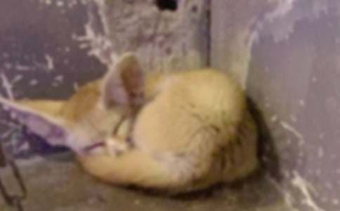 ���˲���ĺ���ְ֡������