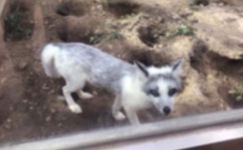 �����š����������ѻ���̰�4ƪ