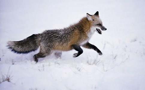 ���˲���ĺ���ְ֡������15ƪ[��ѡ]