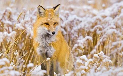 ���˲���ĺ���ְ֡��Ķ����