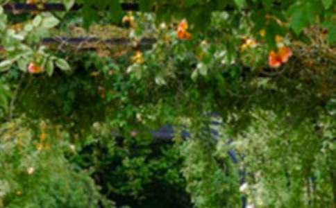 ���˵Ļ�԰�̰�