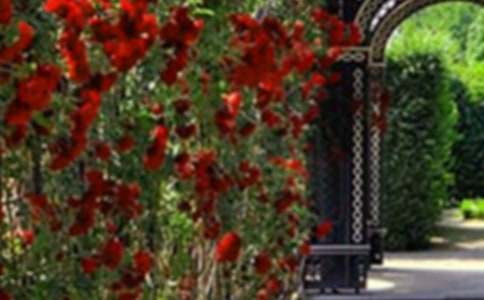 ��԰��ѧ��˼