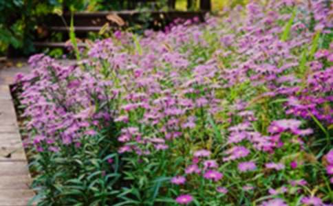 ��԰����400����ƪ