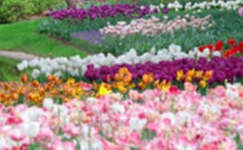 巨人的花园说课稿范文