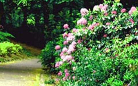 ����ѡ����԰����400��4ƪ