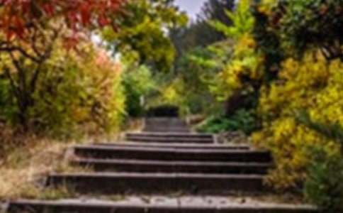 �����˵Ļ�԰����ѧ���