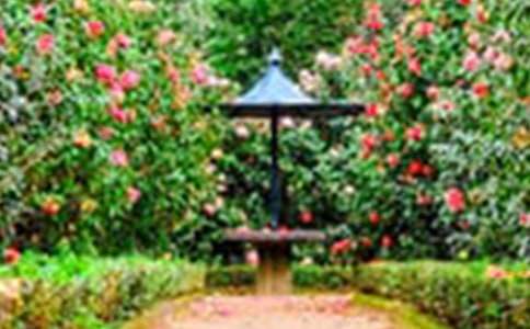 ���꼶�ϲ��˽̰桶���˵Ļ�԰���̰�