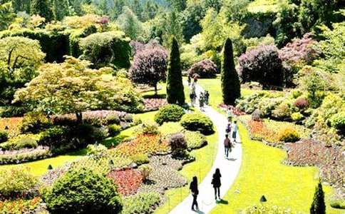 ���Ƽ����Ҽһ�԰����300��