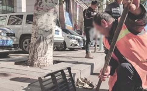 ����������ְ����