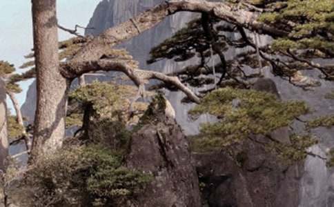 ��ɽ������300�ֺϼ���ƪ