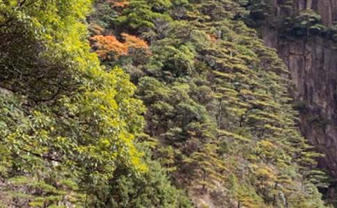 (��ѡ)��ɽ������600��