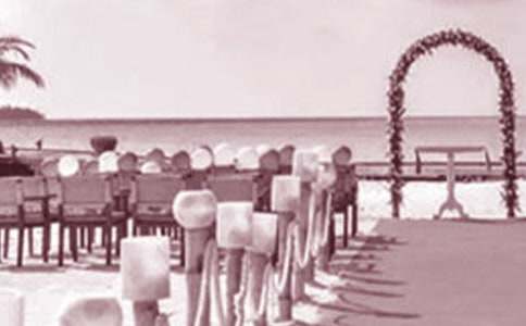 �������߻���������