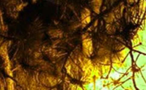 �����¹�ͨ��(�ϼ�8ƪ)