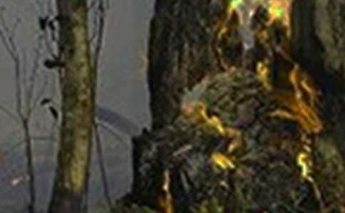 �����¹�ͨ������