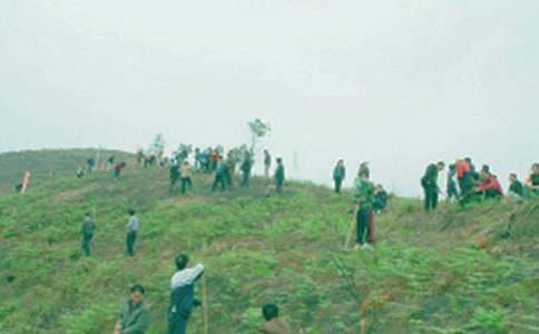 ���潲����