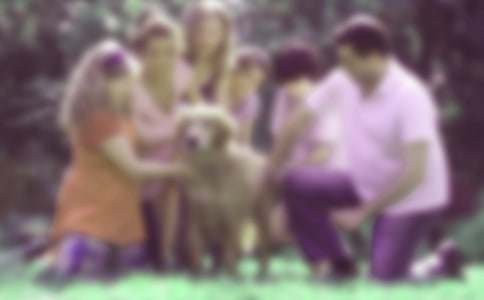 ��ͥ�������ùۺ��