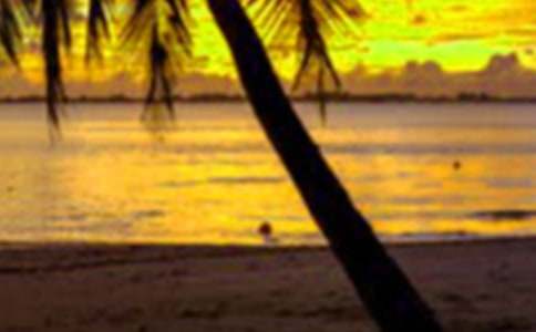 �����ҵļ��������ռǷ��ĺϼ���ƪ