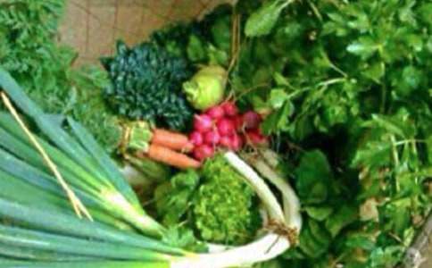 ��ʵ�ã����������ν�ѧ��˼