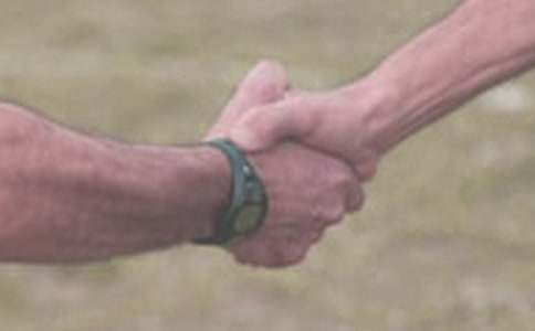 ��ѡ���ｻ�ʽ̰�ģ�弯��6ƪ