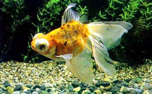 ��������400��4ƪ