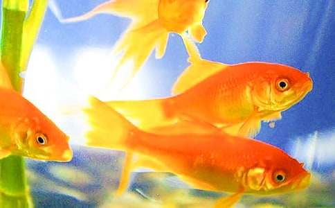 ���������600��[����]