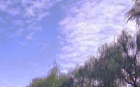 ��ѡ��ɫ������600�ֺϼ���ƪ