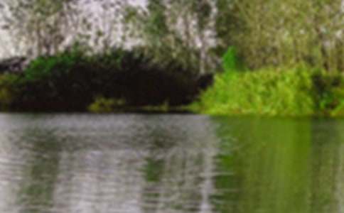 ��ҹ��徰ɫ����500��