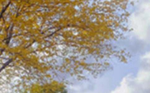 ���Ƽ������꼶��ɫ���Ļ��ʮƪ