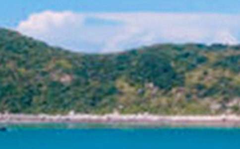 ����ѡ�����꼶��ɫ���ĺϼ�ʮƪ