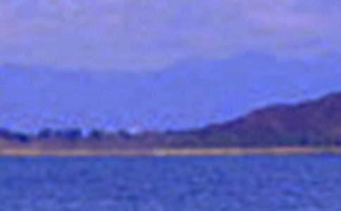 大自然的景色作文合集15篇