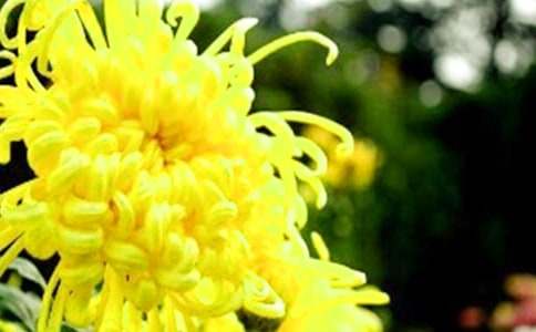 [����]�ջ�����300��4ƪ