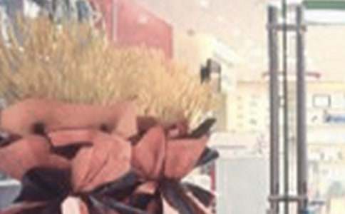 �����ӹ�˾��ҵ�ܾ����´Ǹ�