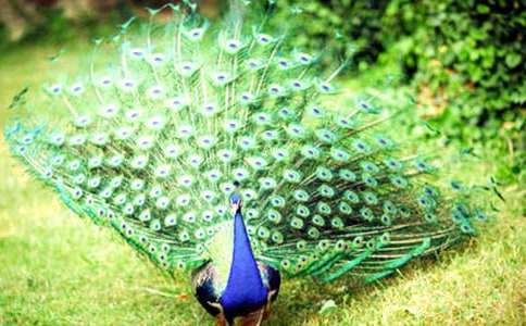 ʵ�õĿ�ȸ���������300����ƪ