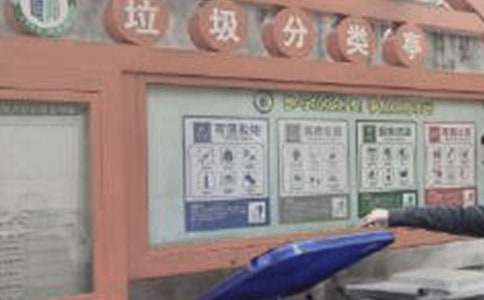 垃圾分类社会实践活动总结