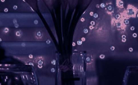 521�����ʺ���