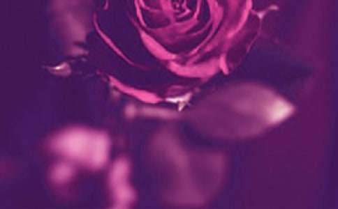 ����������ʵ�е�����600������