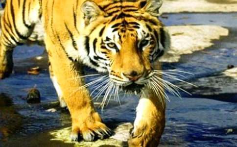 д�ϻ�������400��