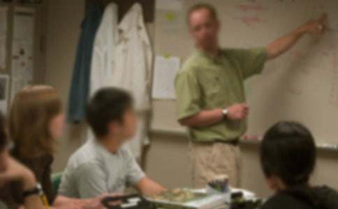 给老师祝福语大全简短赞美(精选80句)