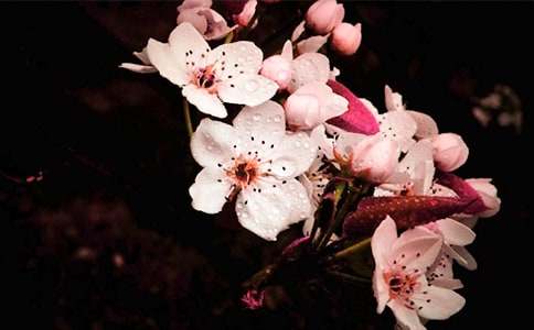 �滨����300��4ƪ�����ţ�